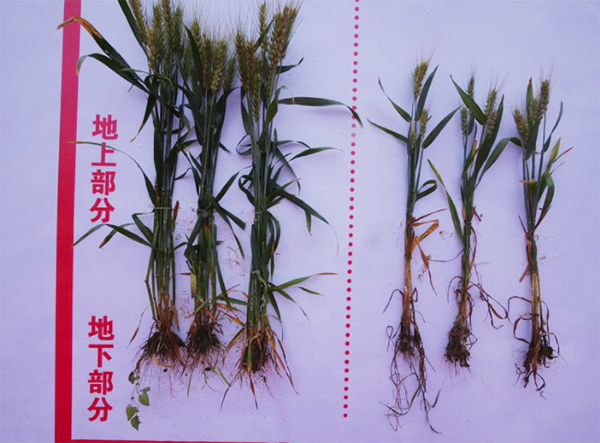 1560127439455483.png 4.png